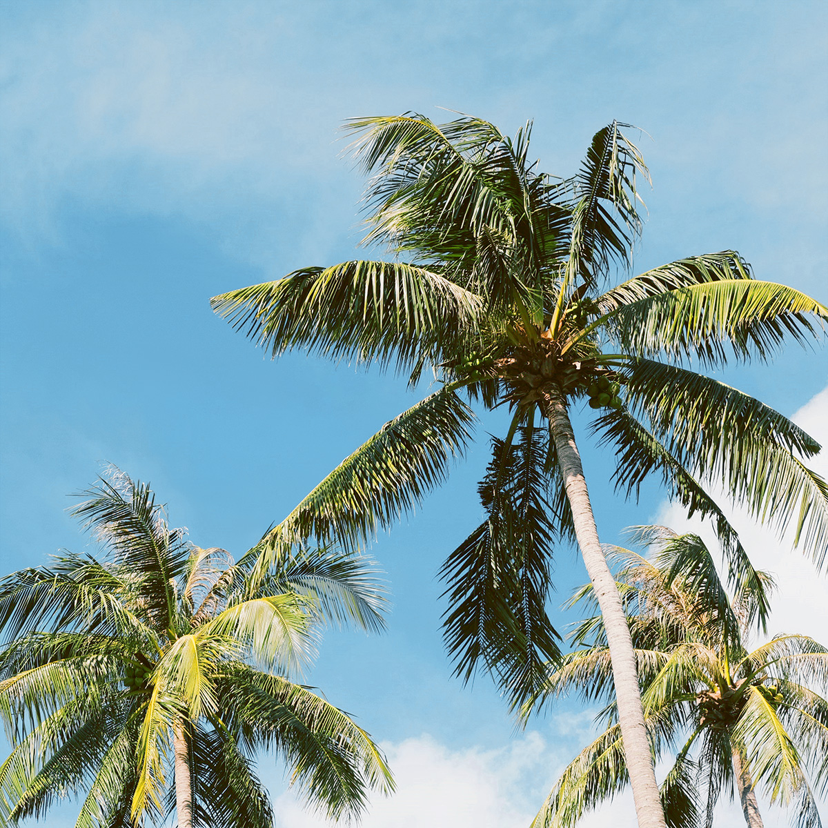 The Splash Koh Chang